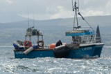 lodestar lh558 whyw22 thur 800_2734yi